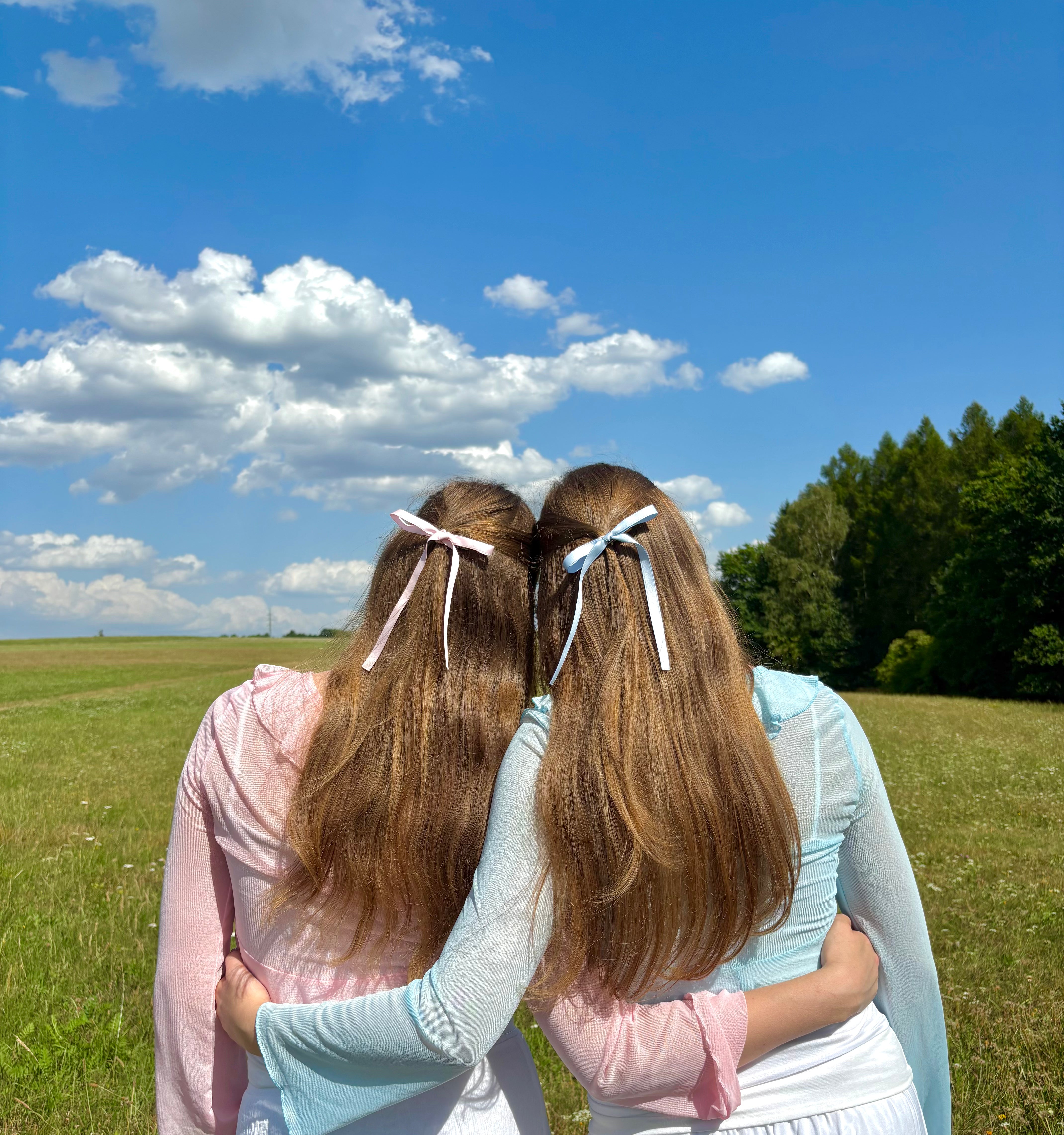A back view of two girls with long brown hair standing in a sunlit green meadow with their arms affectionately around each other's waists. One wears a pink hair ribbon and a pastel pink top, while the other wears a light blue hair ribbon and a light blue top. The background features a bright blue sky with fluffy white clouds and a line of trees.